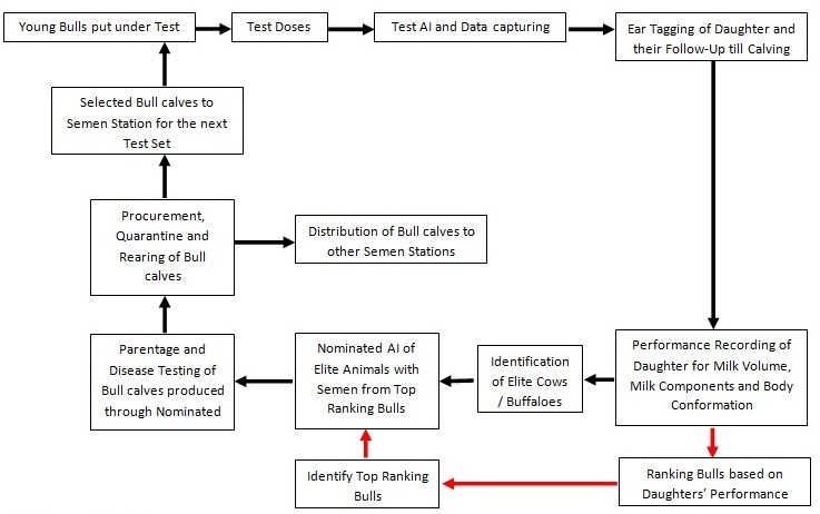 What Is Progeny Testing